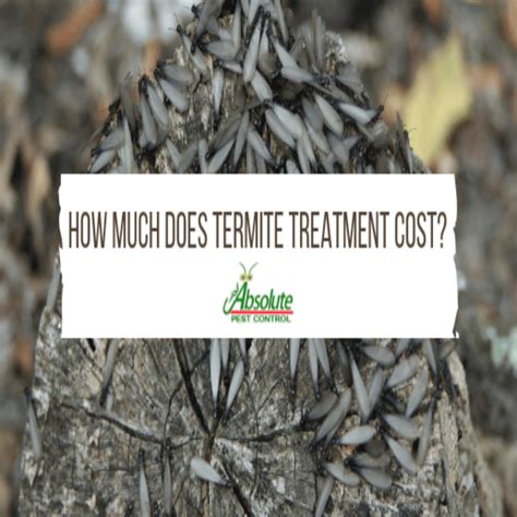 Cost to treat termites. Things To Know About Cost to treat termites. 